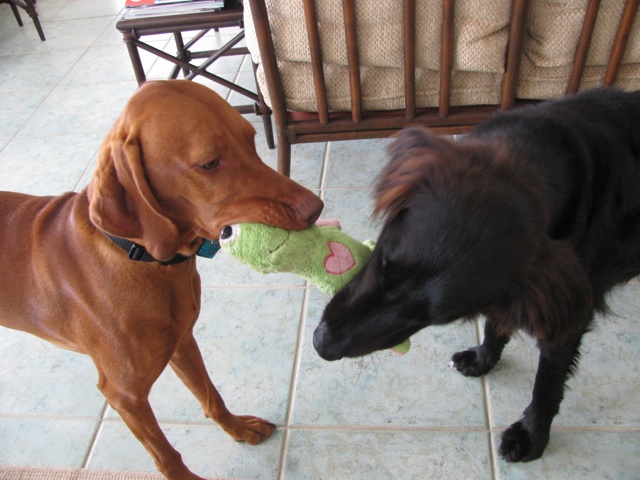 Tug