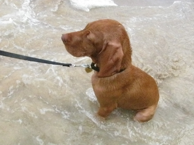 Sitting in the ocean.