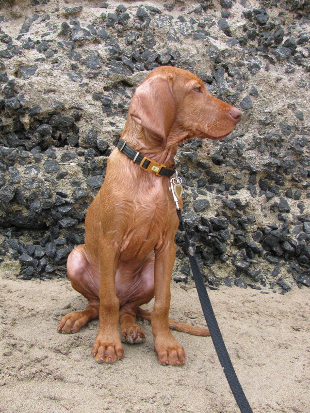 Sitting by the wall.