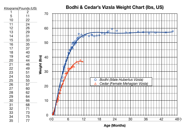 30 Month Old Height Weight Chart